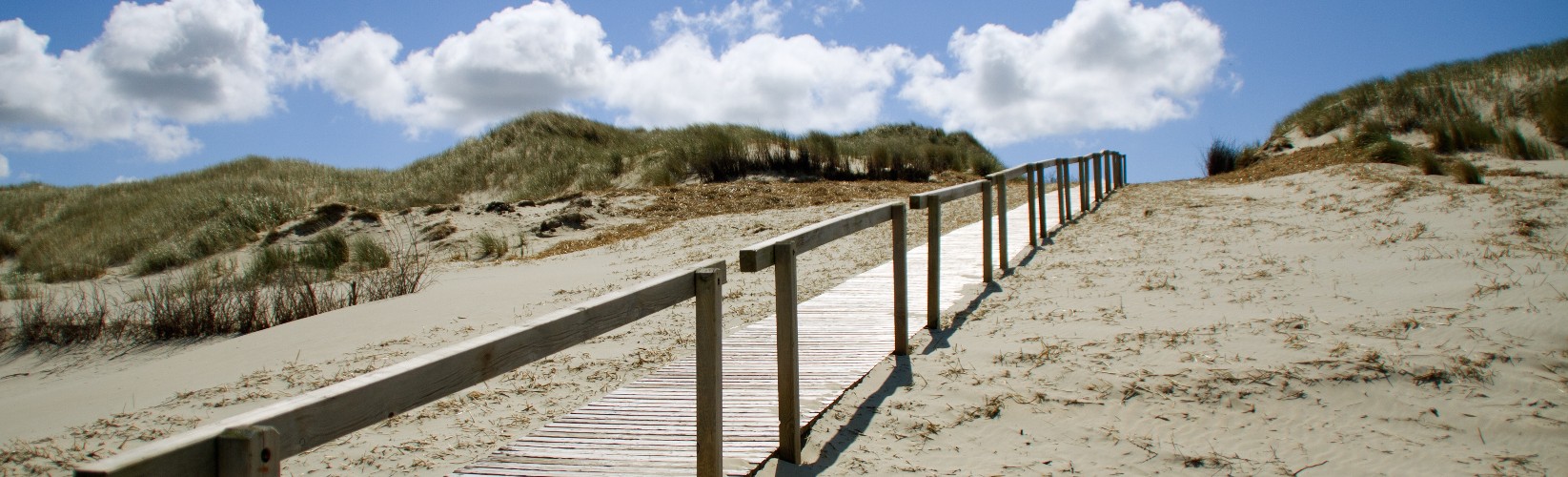 Bildungsurlaub - Sylt: Schreiben am Meer – mit allen Sinnen entspannen